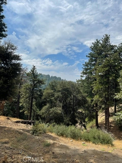 0 COCHRAN RD, CEDARPINES PARK, CA 92391, photo 1 of 16