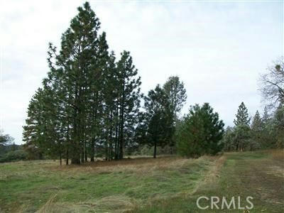 0 LOT #9 HARD TIMES RANCH, NORTH FORK, CA 93643, photo 5 of 9