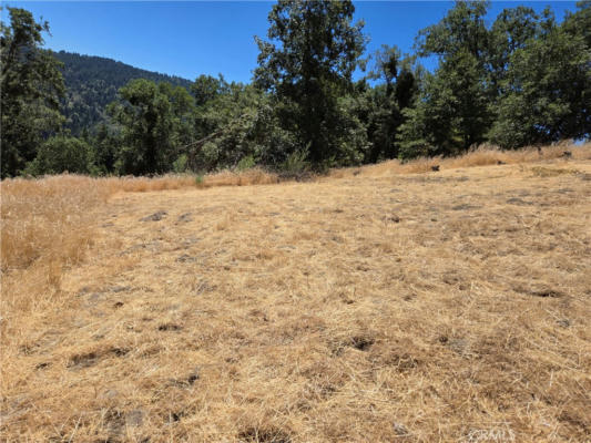 22045 MOJAVE RIVER RD, CEDARPINES PARK, CA 92322 - Image 1