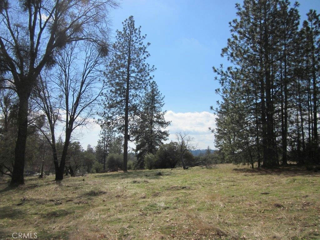 0 LOT #9 HARD TIMES RANCH, NORTH FORK, CA 93643, photo 1 of 9