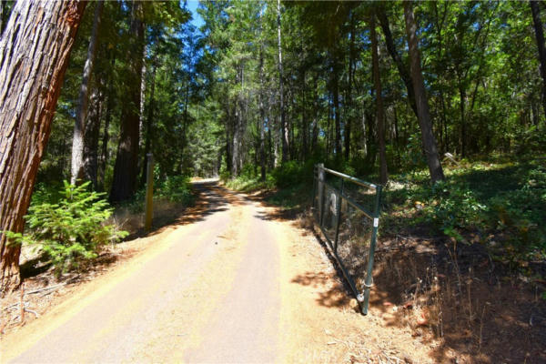 20075 FORESTHILL RD, FORESTHILL, CA 95631 - Image 1