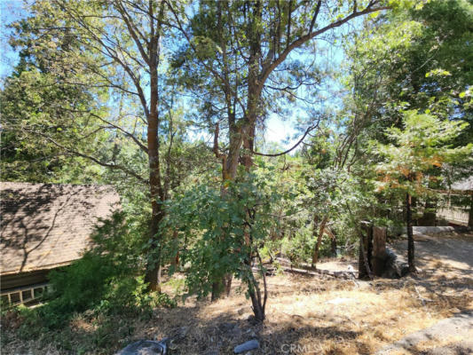 0 SKY RIDGE DRIVE, TWIN PEAKS, CA 92391 - Image 1