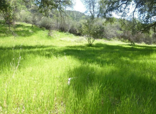 0 0 VINEYARD CANYON PARCEL 29, SAN MIGUEL, CA 93451 - Image 1