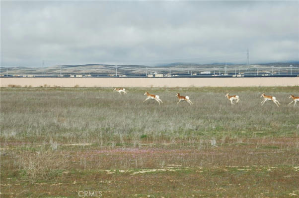 0 ARROW BEAR TRAIL, CALIFORNIA VALLEY, CA 93453 - Image 1