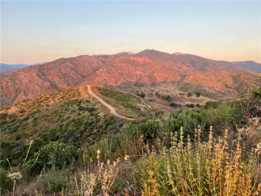 10 WILLIAMS CANYON ROAD, SILVERADO CANYON, CA 92676 - Image 1