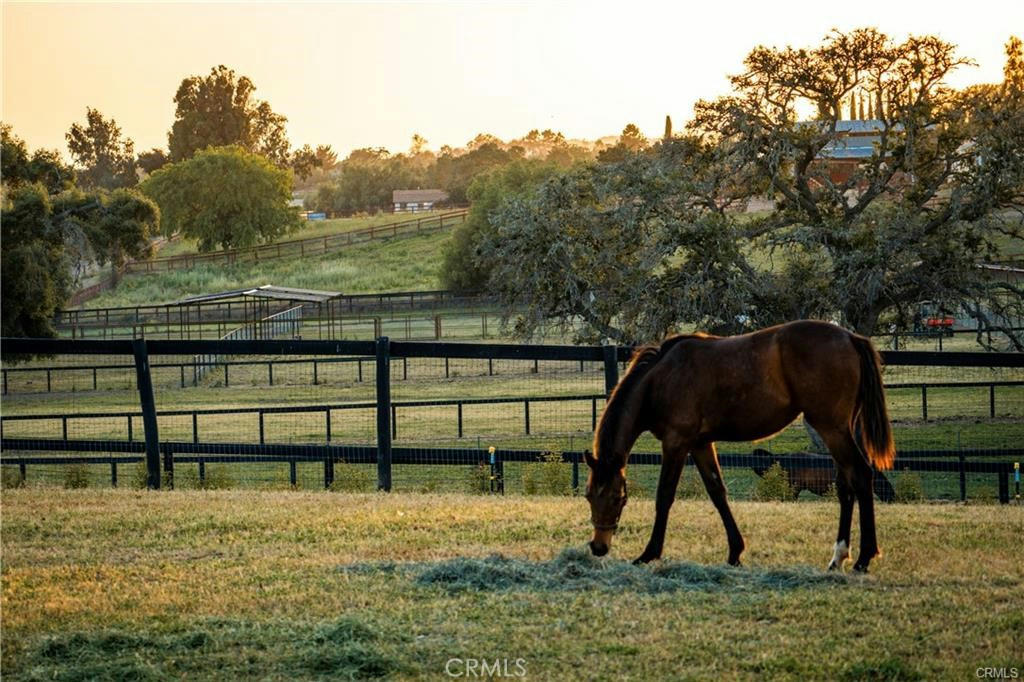 1977 SAN MARCOSS PASS RD, SANTA YNEZ, CA 93460, photo 1 of 60